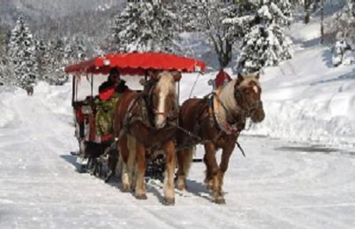 Ferienwohnung Max und Klaudia Müller - Foto 12