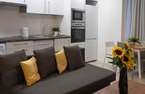 Oshun Plaza Castilla - Foto 12