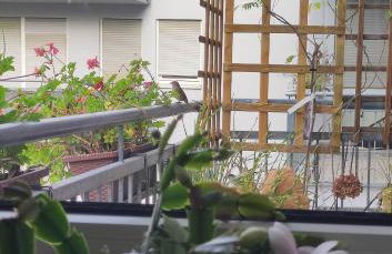 Große Wohnung für Gruppe - Foto 23