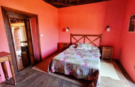 La Higuerita - Foto 23