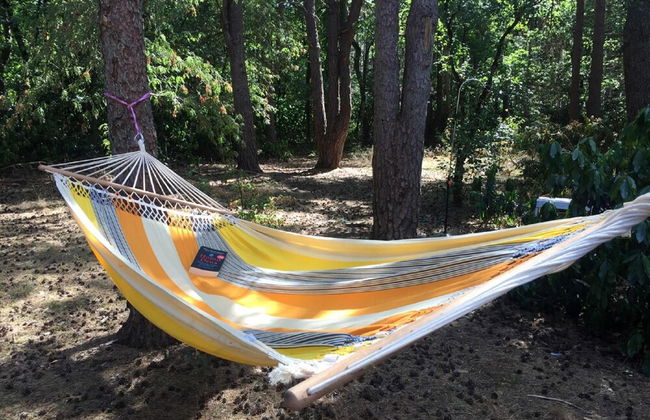 Gierle Garden Bungalow Escape - Photo 23