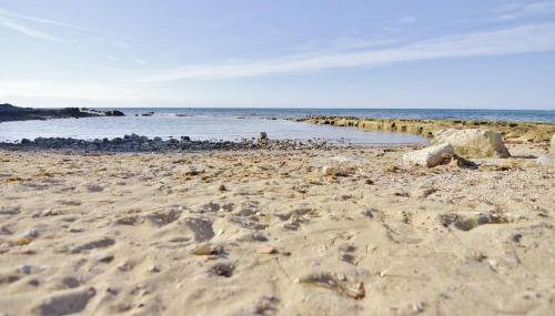 Apartments for families with children Savudrija, Umag - 22559 - Foto 4