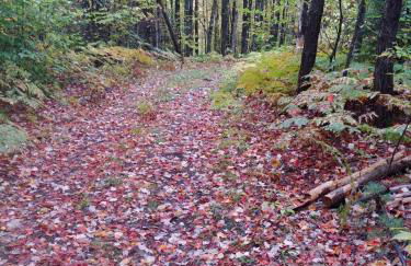 Spacious country retreat close to town and nature, Sylvana Farm VT - Foto 27