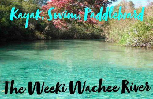 SaltwaterPool- GameRoom -Tropical Sunsets - Kayaks - Fishing - Foto 21