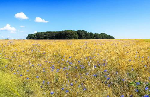 Chalet Trollstua by Interhome - Foto 72