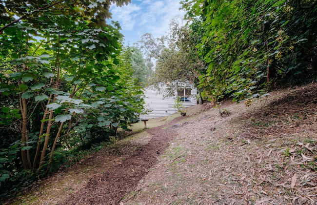 Steep Creek Retreat - Foto 15