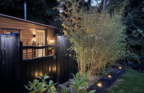 Charming Woodland Lodge 2 person 1 bedroom - Foto 8