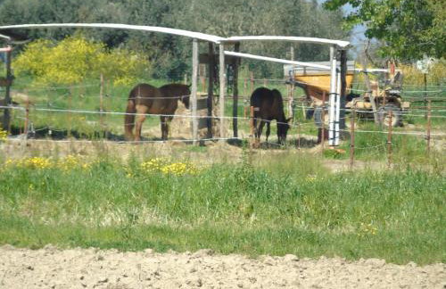 Fienile Paradiso Home Tuscany - Photo 43
