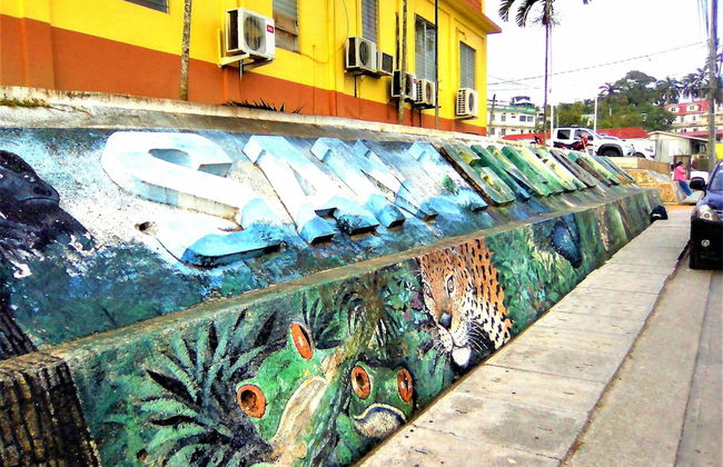 Iguana Roost for Explorers, Families or Travelers Welcome to The Tropical Acre - Foto 26