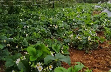 Gacka-Beautiful Place in Nature - Foto 33