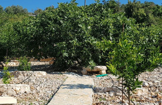 Apartment Karolina - Foto 21