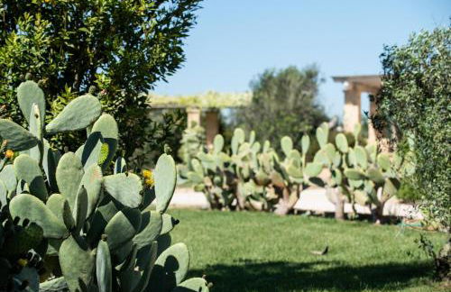 Borgo Rosso Terra - Foto 35