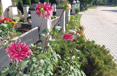 Agroturystyka POD KASZTANEM - Foto 20