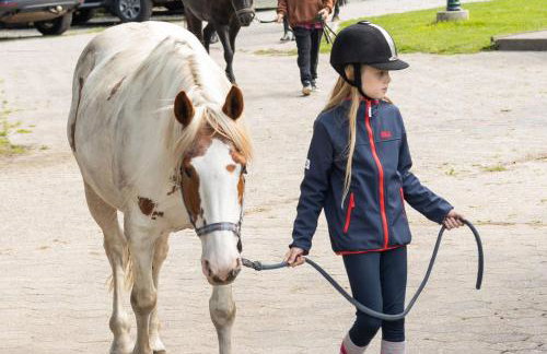 Ferienhof Ekenhoff - Photo 75