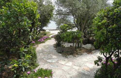 Apartments Grbin - Foto 48