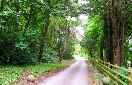 Richmond Hall - Foto 74