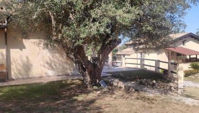 BLUIAIA CASE VACANZE TROPEA - Foto 3