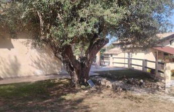 BLUIAIA CASE VACANZE TROPEA - Foto 3