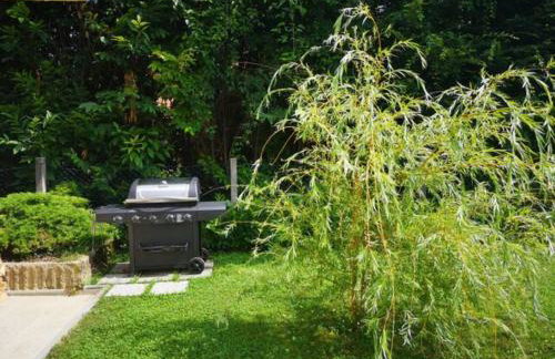 GreenHouse pool & spa - Foto 40