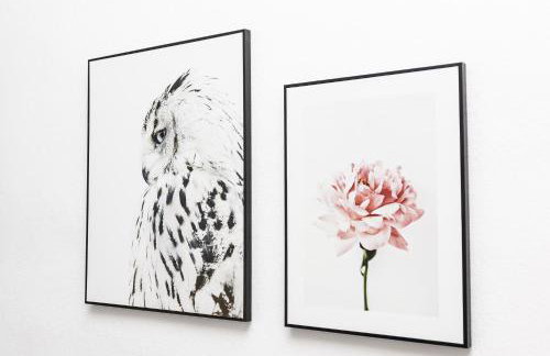 CosyHomes24 - Centrally with top traffic connection and balcony - UN01 - Foto 2