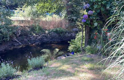 La maison bleue - Photo 38