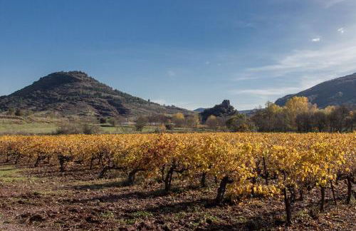 Gîte du salagou - Foto 22