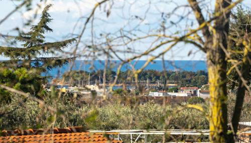 Rosello 2 by Briskva - Foto 5