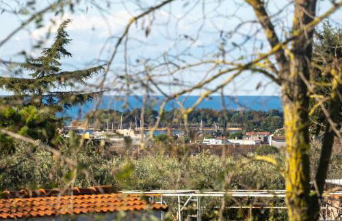 Rosello 2 by Briskva - Foto 5