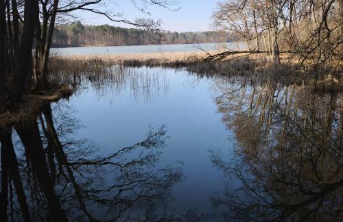 Przystań Familijna - Foto 16