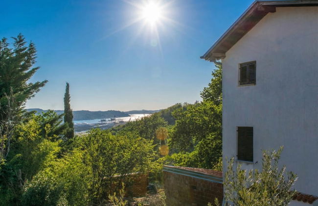 House In The Vineyards - Photo 27