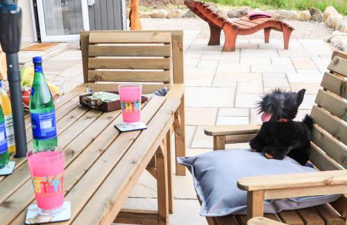 Pine Marten - Foto 32