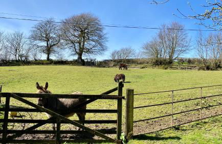 Beachborough Country House - Foto 7