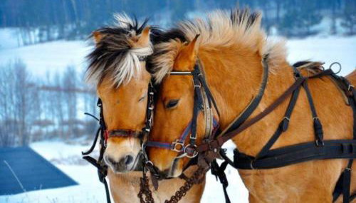 Dom w sercu Kaszub - Foto 2