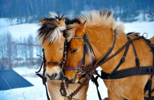Dom w sercu Kaszub - Foto 2