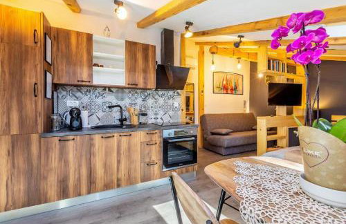 Apartment Eva Vintage Studio - Foto 3