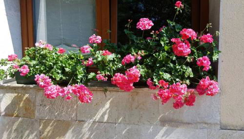 Aliga Etxea. Beach & Mountain Village - Foto 3