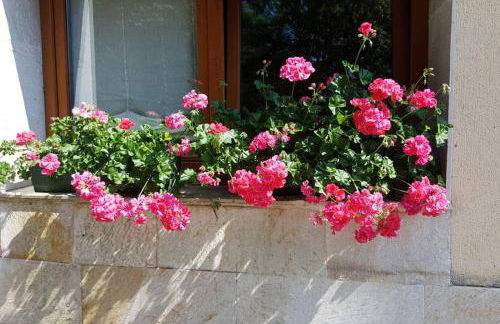 Aliga Etxea. Beach & Mountain Village - Foto 3