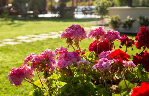 ALFA COUNTRY HOUSE Villa Salento - Foto 73