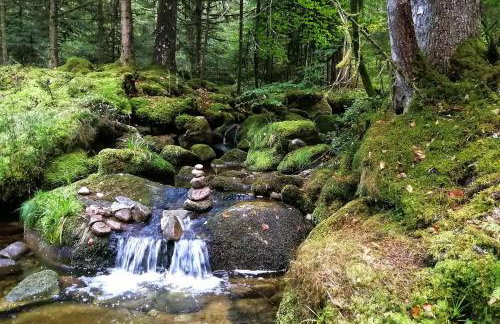 Notre Renardière, Gîtes à Saulxures-sur-Moselotte, Hautes-Vosges - Foto 61
