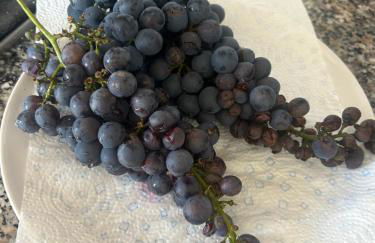 Casa Visconti - Foto 31