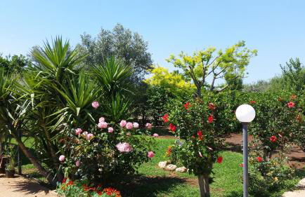 Villa Cristina - Foto 34