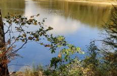 Harzquartier - Foto 58