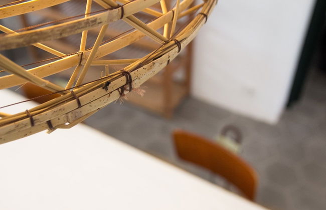 Finca Calafi Nou - Photo 57