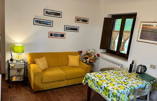 Il Mulino delle Canutole - Foto 29