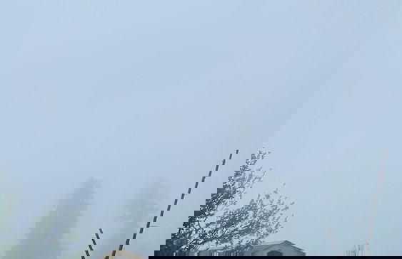 Cove The Glass House - Foto 48