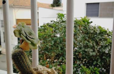 Ca' Vaschino - Foto 38