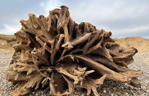 Tranquil 2-Bed Bungalow Near to Southwold - Photo 6