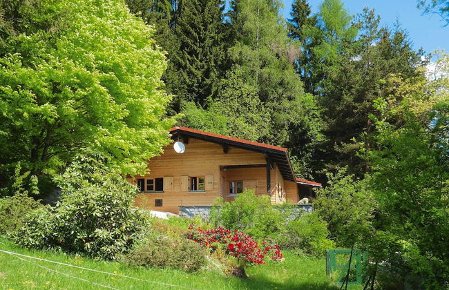 Log House in Rinchnach With Panoramic Views - Photo 1