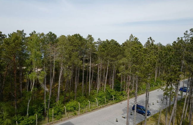 Art Forrest 33 K in Rogowo - Photo 23