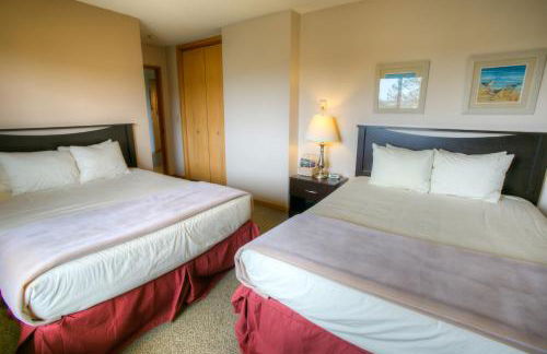 The Grey Gull - Foto 104